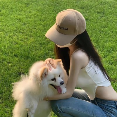 玩具熊的五夜后宫